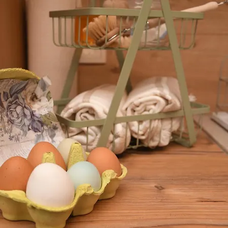 Gaestewohnung My Secret Garden 1 - Keine Monteure Appartement *