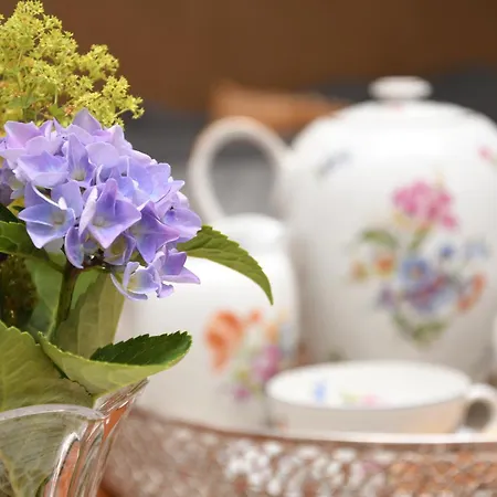 Gaestewohnung My Secret Garden 1 - Keine Monteure Dennheritz